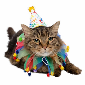 Celebration Hat & Collar Set for Cats - Posh Puppy Boutique