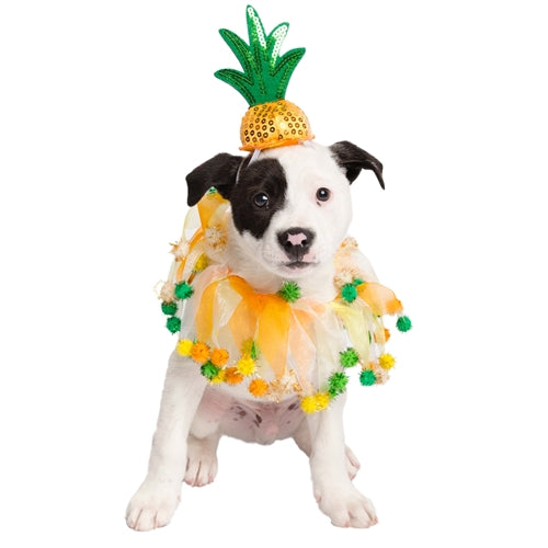 Pineapple Hat & Collar Set  for Dogs