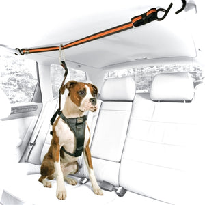 Auto Zip Line with Leash & Tether - Black-Orange - Posh Puppy Boutique