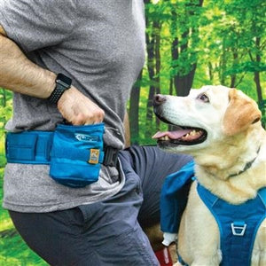 RSG YORM Treat Bag - Coastal Blue - Posh Puppy Boutique