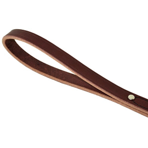 Standard Leather Leash 3-4" in Brown - Posh Puppy Boutique