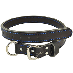 Leather Agitation Collar - Blue - Posh Puppy Boutique