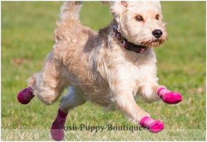 Pink Heather Sport PAWks - Anti-Slip Socks for Dogs - Posh Puppy Boutique