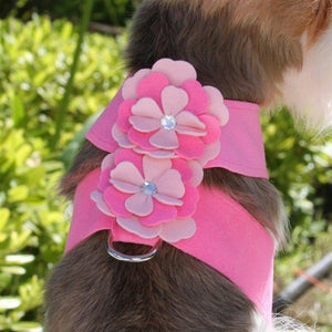 Susan Lanci Alexandra Tinkie Harness - Perfect Pink - Posh Puppy Boutique