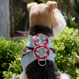 Susan Lanci Blossom Tinkie Harness - Mint - Posh Puppy Boutique