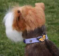 Susan Lanci Butterfly & Bee Collection Ultrasuede Dog Collar in Many Colors - Posh Puppy Boutique