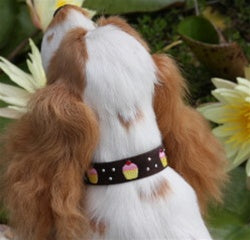 Susan Lanci Cupcake Collection Ultrasuede Dog Collars - Many Colors - Posh Puppy Boutique