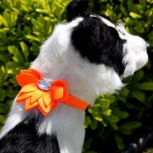 Susan Lanci Water Lily Collection Collar in Many Colors - Posh Puppy Boutique