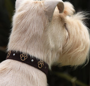 Susan Lanci Embroidered Paws with Studs Ultrasuede Dog Collar - Posh Puppy Boutique