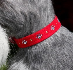 Susan Lanci CA Crystal Paws Ultrasuede Collars in Many Colors - Posh Puppy Boutique