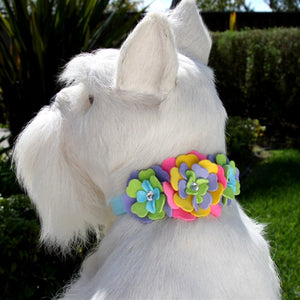 Susan Lanci Fantasy Flower Collection Collar- Kiwi - Posh Puppy Boutique