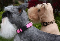 Susan Lanci Quick Release Plain Ultrasuede Dog Collars - in Many Colors