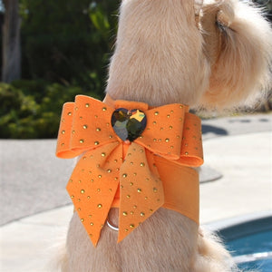 Susan Lanci Gold Dust Tail Bow Collection Tinkie Harness - Many Colors - Posh Puppy Boutique