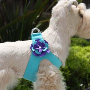 Susan Lanci Violet Step-In Harness - Bimini Blue - Posh Puppy Boutique