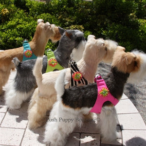 Susan Lanci Sea Urchin Collection Step In Harnesses - Many Colors - Posh Puppy Boutique
