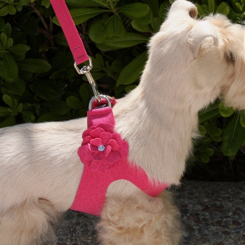 Susan Lanci Tinkie's Garden Simple Step-In Harnesses - Many Colors
