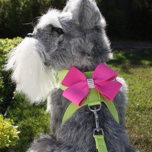 Susan Lanci Contrasting Nouveau Bow Tinkie Harness- Kiwi and Pink Sapphire - Posh Puppy Boutique