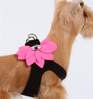 Susan Lanci Water Lily Two Tone Step In Harness - Black with Perfect Pink - Posh Puppy Boutique
