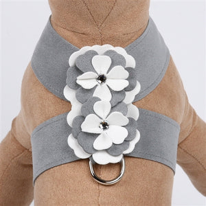 Susan Lanci Special Occasion Tinkie Harness- Platinum - Posh Puppy Boutique