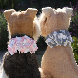 Susan Lanci Special Occasion Collar- Platinum or Puppy Pink - Posh Puppy Boutique