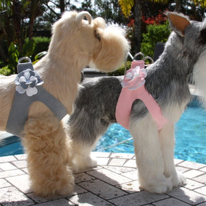 Susan Lanci Special Occasion Step-In Harness- Platinum - Posh Puppy Boutique