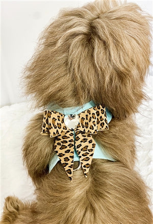 Susan Lanci Tiffi Blue Tinkie Harness with Cheetah Tailbow Emerald - Posh Puppy Boutique