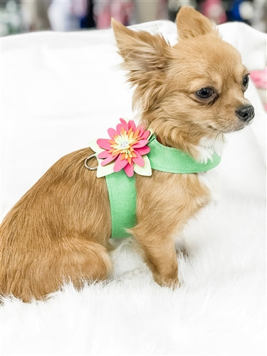 Susan Lanci Island Flower Collection Tinkie Harness-Many Colors