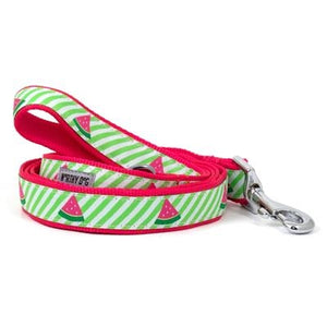 Green Stripe Watermelon Collar and Lead Collection - Posh Puppy Boutique