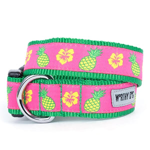 Pineapples Collar and Lead Collection - Posh Puppy Boutique