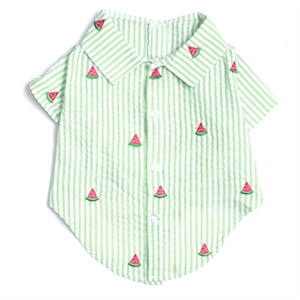 Green Stripe Watermelon Shirt - Posh Puppy Boutique