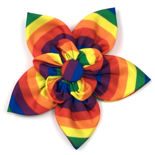 Rainbow Flower Slider