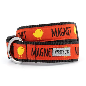 Chick Magnet Collar and Lead Collection - Posh Puppy Boutique