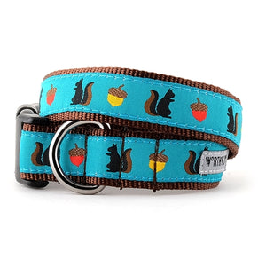 Squirrelly Collar and Lead Collection - Posh Puppy Boutique