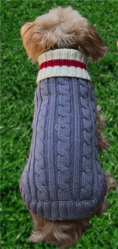 Preppy Pup Sweater in Grey/Red - Posh Puppy Boutique