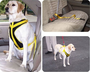 Dog Safety Vest Harness - Posh Puppy Boutique