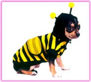Bee Costume - Posh Puppy Boutique