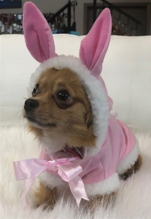 Bunny Costume - Posh Puppy Boutique