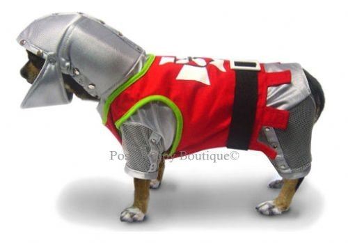 Sir Barks-A-Lot Costume