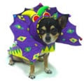 Mardi Paws Dragon Costume - Posh Puppy Boutique