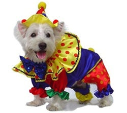 Shiny Clown Costume - Posh Puppy Boutique
