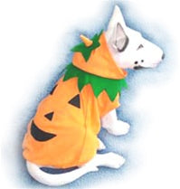 Pumpkin Costume - Posh Puppy Boutique