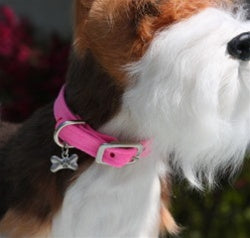 Susan Lanci Plain Ultrasuede Dog Collars in Many Colors