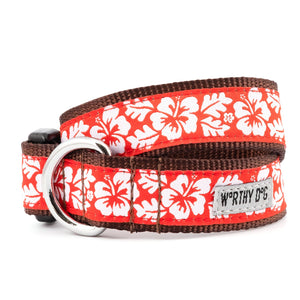Aloha Collar & Lead Collection