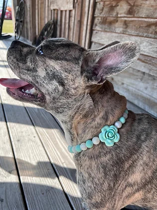 Tiffany Rose Beaded Pet Collar