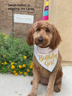 Birthday Girl Dog Bandana