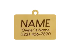 Hello My Name is Pet ID Tag in Gold