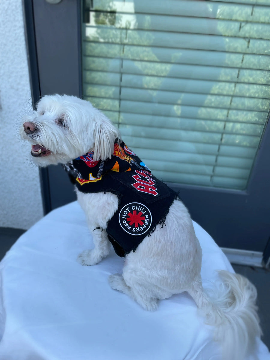 Black Upcycled Denim Rocker Harness- Red Hot Chili Peppers