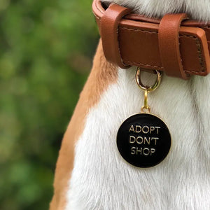 Adopt Don't Shop Pet ID Tag in Black