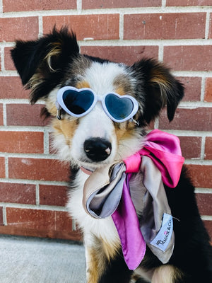 Tiny Dog Heart Sunglasses in White