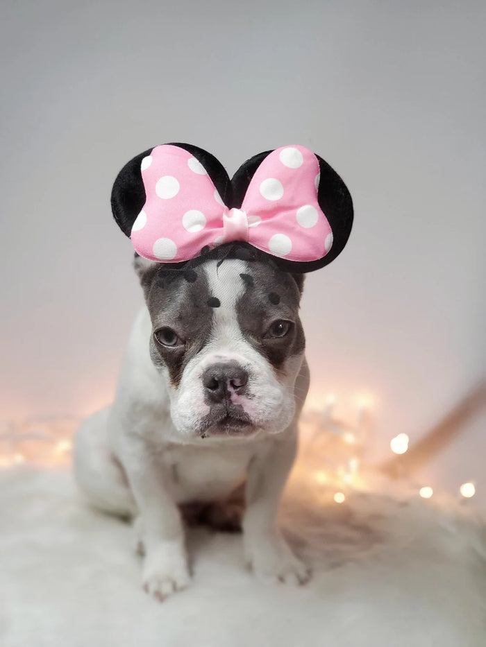 Pink Mini Mouse Hat for Dog or Cat